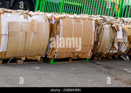 Boîtes pressées en carton palette en bois pour recycler le recyclage des déchets de papier Banque D'Images