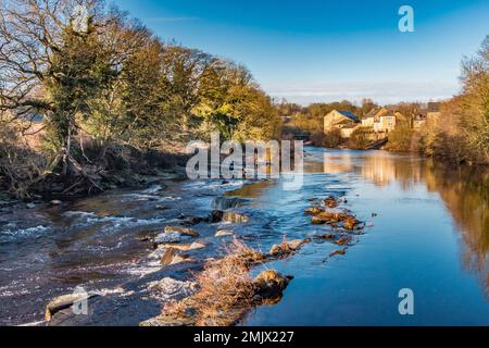 Très forte faible soleil d'hiver sur la rivière Tees regardant en amont de Demesnes Mill. Château de Barnard, un matin froid et frais de janvier. Banque D'Images