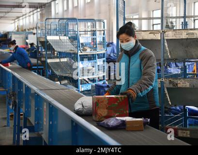 HANDAN, CHINE - 21 JANVIER 2023 - les travailleurs trient les livraisons express au centre de transfert de Zhongtong Express, dans le parc industriel du district de Yongnian à Ha Banque D'Images