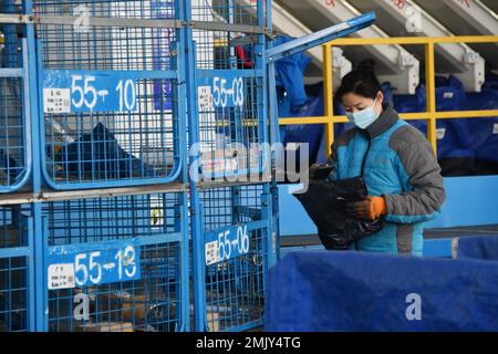 HANDAN, CHINE - 21 JANVIER 2023 - les travailleurs trient les livraisons express au centre de transfert de Zhongtong Express, dans le parc industriel du district de Yongnian à Ha Banque D'Images