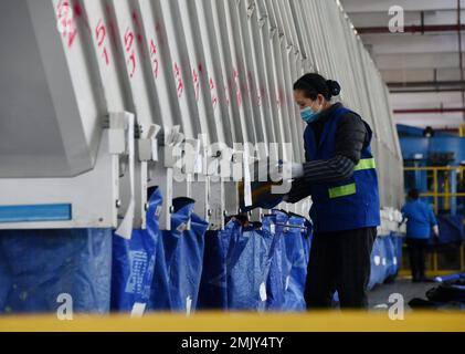 HANDAN, CHINE - 21 JANVIER 2023 - les travailleurs trient les livraisons express au centre de transfert de Zhongtong Express, dans le parc industriel du district de Yongnian à Ha Banque D'Images