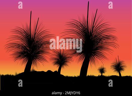 Silhouette de Grass Tree ou de Black boy Tree au coucher du soleil. Illustration vectorielle. Illustration de Vecteur