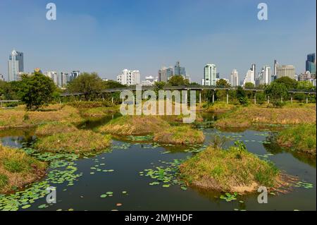 Benjakitti Eco Forest Park par une journée ensoleillée, Bangkok, Thaïlande Banque D'Images