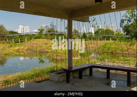 Benjakitti Eco Forest Park par une journée ensoleillée, Bangkok, Thaïlande Banque D'Images