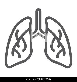 Icône de ligne de poumons, biologie et corps, signe d'organe, graphiques vectoriels, un motif linéaire sur fond blanc, eps 10. Illustration de Vecteur