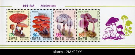 Timbre-poste nord-coréen de 2008 représentant diverses espèces de champignons, dont Amanita muscaria et Macrolepiota procera. Banque D'Images