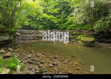 Campbell Falls - Une chute d'eau en cascade sur un ruisseau. Banque D'Images