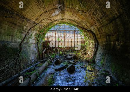 Sortez du tunnel d'égout voûté. Rivière souterraine, vue de l'intérieur du tunnel d'égout. Banque D'Images