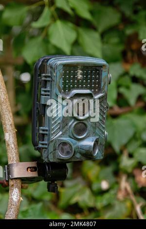 Piège de caméra de randonnée numérique installé pour photographier la faune du jardin Wiltshire, Royaume-Uni, janvier. Banque D'Images