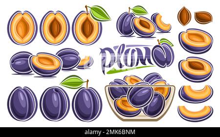 Ensemble de prunes vectorielles, banderole horizontale avec lot collection d'illustrations coupées composition de la vie des fruits, prunes mûres bio hachées en transparence Illustration de Vecteur