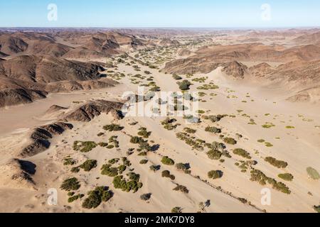 Lit sec de la rivière Hoanib, vue aérienne, tir de drone, Damaraland, Namibie Banque D'Images