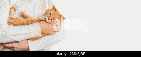 Femme en pull blanc à maille torsadée tient le chat de gingembre sur les mains. Animal de compagnie doux avec expression de visage effrayée. Bannière claire avec espace de copie. Banque D'Images