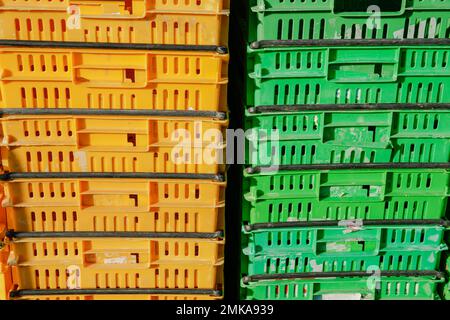 Wellington Nouvelle-Zélande - 4 octobre 2010; des piles de vert et d'orange produisent des caisses le samedi matin, les agriculteurs marché en ville Banque D'Images