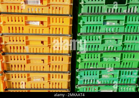 Wellington Nouvelle-Zélande - 4 octobre 2010; marché agricole le samedi matin dans la ville Banque D'Images