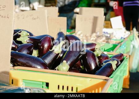 Wellington Nouvelle-Zélande - 4 octobre 2010; marché agricole le samedi matin dans la ville de produits de proximité. Banque D'Images