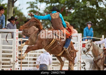 Homestead, Floride, États-Unis. 28th janvier 2023. 74th Rodeo de championnat annuel Homestead, présenté par Downrite Engineering et Spitzer Chrysler Dodge Jeep RAM de Homestead. Barrel Racing, Bull Riding, Tie Down Roping, Team Roping, Saddle Bronc Riding, Bareback Bronc Riding, Steer Wrestling, John Harrison Specialty Act, Homestead Everglades Posse Specialty Act. PRCA. Credit: Yaroslav Sabitov/YES Market Media/Alay Live News Banque D'Images