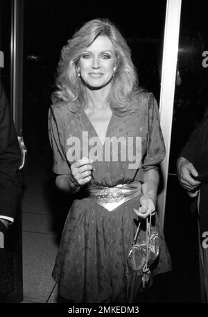 Donna Mills au Filmex hommage à Elizabeth Taylor au Music Center de Los Angeles, Californie sur 8 novembre 1981. Crédit: Ralph Dominguez/MediaPunch Banque D'Images