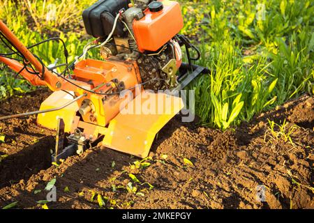 un petit tracteur agricole plendit le sol, le travail d'un tracteur à conducteur marchant. traitement des sols pour la plantation Banque D'Images