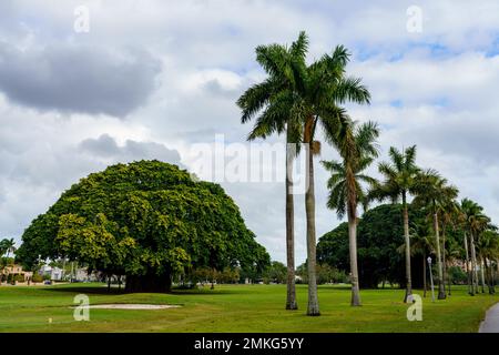 Scène nature au Granada Golf course Coral Gables Miami Florida Banque D'Images