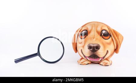 Un petit chiot rond est à côté de la loupe sur fond blanc. Contrôle VET. Recherche. Un chiot curieux. Intérêt, étude, curiosité. Banque D'Images