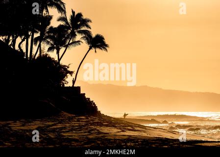 Silhouette d'un surfeur marchant sur Sunset Beach, Hawaï avec une planche de surf au coucher du soleil Banque D'Images