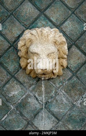 Une fontaine à tête de lion de ciment contre un mur de carreaux turquoise. Banque D'Images