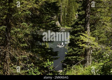 Les pêcheurs flottent dans un bateau dérivant la célèbre fourche Henry de la rivière Snake sous le barrage Island Park, Island Park, Fremont County, Idaho, États-Unis Banque D'Images