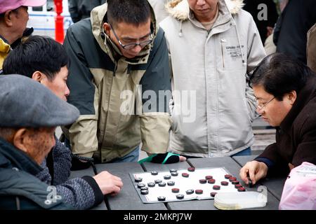 NEW YORK, Etats-Unis - 17 novembre 2007. Des hommes d'origine chinoise jouant Xiangqi (échecs chinois) dans un parc de New York Banque D'Images