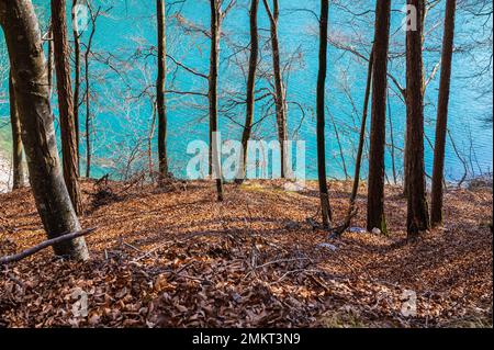 Aperçu de la nature entourant le beau lac de Ledro au printemps - Trentin-Haut-Adige, nord de l'Italie, Europe Banque D'Images