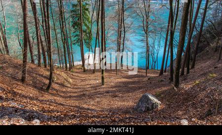 Aperçu de la nature entourant le beau lac de Ledro au printemps - Trentin-Haut-Adige, nord de l'Italie, Europe Banque D'Images