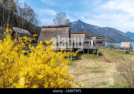 Maison en pilotis de l'âge de bronze (reconstruction) au musée de la Palafitte du lac Ledro. Molina di Ledro, Trento, Trentin-Haut-Adige, Italie Banque D'Images