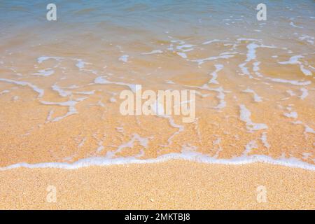La côte de la mer d'Azov. Les vagues de la mer roulent sur le rivage sablonneux. Plage de sable de Seashell. Banque D'Images