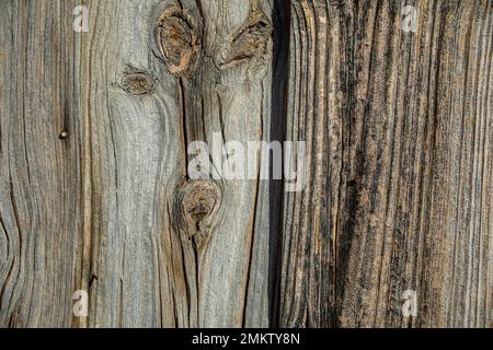 Planche en bois d'une porte vieillie par le temps d'un brut et avec de grands noeuds de bois Banque D'Images