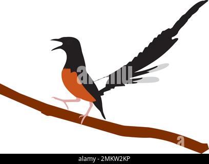 Illustration vectorielle d'un oiseau qui gazouillis. Peut être utilisé comme un logo, une marque et une mascotte très attrayants. Illustration de Vecteur