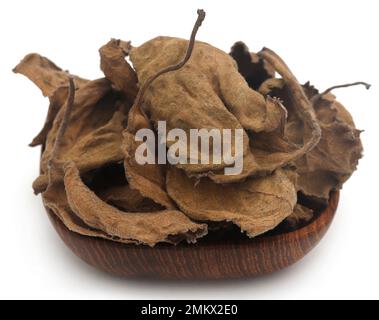 Feuilles d'origan séchées sur fond blanc Banque D'Images