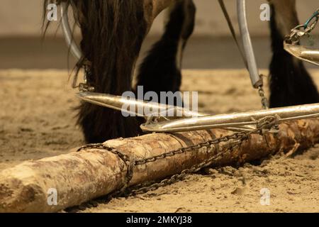 Wok à cheval en bois Banque D'Images