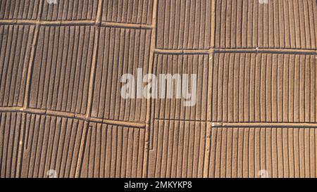 Vue aérienne du modèle de rang des sillons dans un champ labouré préparé pour la plantation de cultures au printemps. Paysage agricole. Banque D'Images