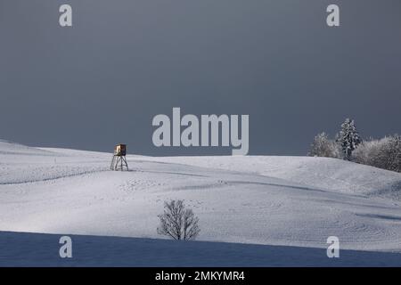 29 janvier 2023, Bavière, Görisried : un siège de chasseur se dresse dans le paysage enneigé. Photo : Karl-Josef Hildenbrand/dpa Banque D'Images