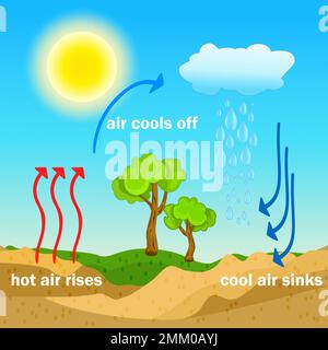 Diagramme du processus de convection. L'air chaud monte et l'air frais s'écoule. Masses d'air chaud et froid. Circulation d'air chaud et froid thermique. Illustration vectorielle Illustration de Vecteur