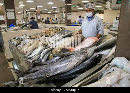 Le marché aux poissons de Ras Al Khaimah (RAK) (historiquement Jullfar) est la plus grande ville et capitale de l'émirat de Ras Al Khaimah, Émirats arabes Unis. Banque D'Images