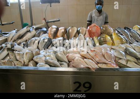 Le marché aux poissons de Ras Al Khaimah (RAK) (historiquement Jullfar) est la plus grande ville et capitale de l'émirat de Ras Al Khaimah, Émirats arabes Unis. Banque D'Images