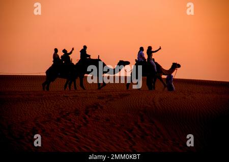 Chameaux silhouettés au coucher du soleil Ras Al Khaimah (RAK) (historiquement Julfar) est la plus grande ville et capitale de l'émirat de Ras Al Khaimah, arabe unie Banque D'Images