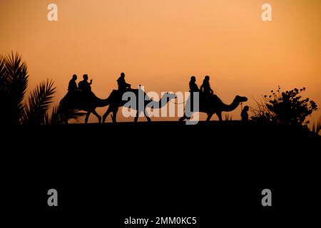 Chameaux silhouettés au coucher du soleil Ras Al Khaimah (RAK) (historiquement Julfar) est la plus grande ville et capitale de l'émirat de Ras Al Khaimah, arabe unie Banque D'Images