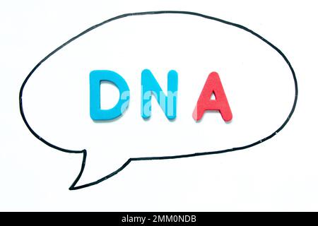 Lettre alphabétique avec le mot ADN (abréviation de Deoxyribonucléic acid) en ligne noire dessin à la main comme un discours à bulles sur fond de tableau blanc Banque D'Images