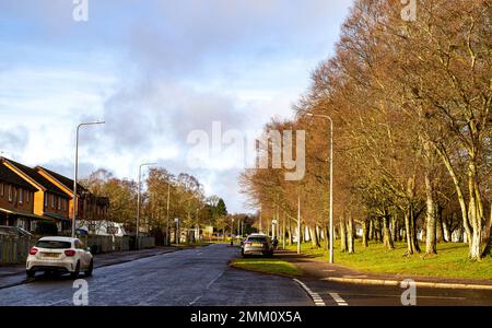 Dundee, Tayside, Écosse, Royaume-Uni. 29th janvier 2023. Météo au Royaume-Uni : après un début de journée frais et nuageux, l'Écosse du Nord-est bénéficie d'un soleil doux de janvier avec des températures autour de 9°C. Vue sur le village d'Ardler à Dundee photographiée sous le beau soleil d'hiver. Il y a beaucoup d'espace ouvert dans et autour du village, complété par de nouveaux paysages innovants qui incluent des prairies urbaines durables, des zones boisées et des magasins. Crédit : Dundee Photographics/Alamy Live News Banque D'Images