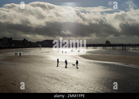 Photographie de John Angerson. Randonneurs de chiens sur la large plage de Weston super mare Somerset, Royaume-Uni - Grand Pier en arrière-plan. Banque D'Images