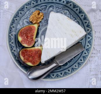 Collection de fromages, fromage français brie de Meaux de la région Seine-et-Marne avec moule blanc en gros plan Banque D'Images
