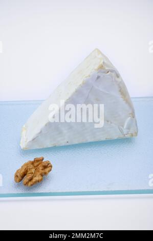 Collection de fromages, fromage français brie de Meaux de la région Seine-et-Marne avec moule blanc en gros plan Banque D'Images