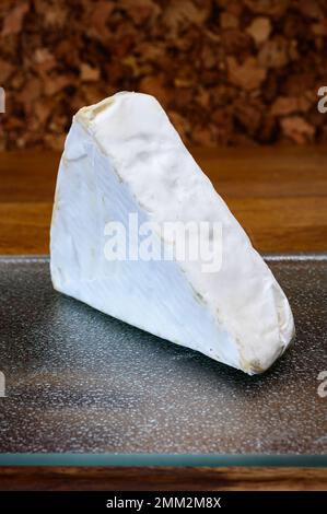 Collection de fromages, fromage français brie de Meaux de la région Seine-et-Marne avec moule blanc en gros plan Banque D'Images