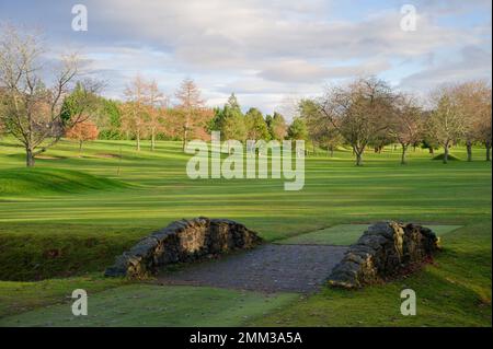 Parcours de golf vert avec pont à pied sur le ruisseau Banque D'Images